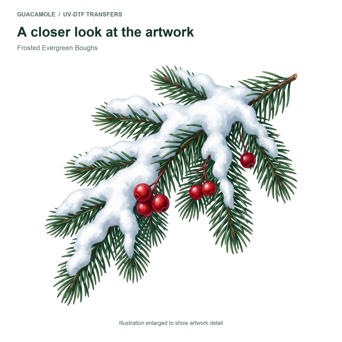 Frosted Evergreen Boughs — Artwork detail