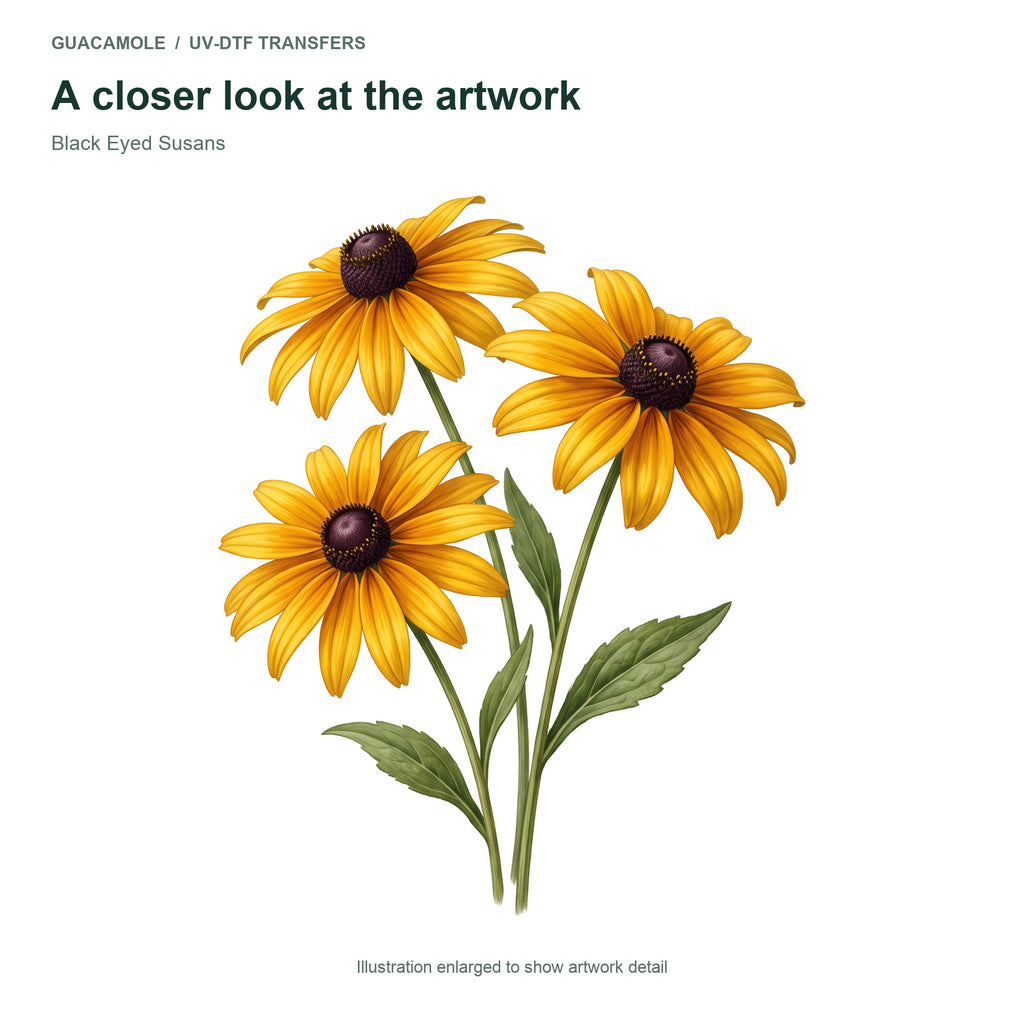 Black Eyed Susans — Artwork detail