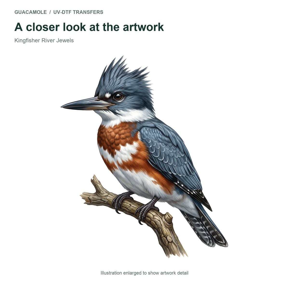 Kingfisher River Jewels — Artwork detail