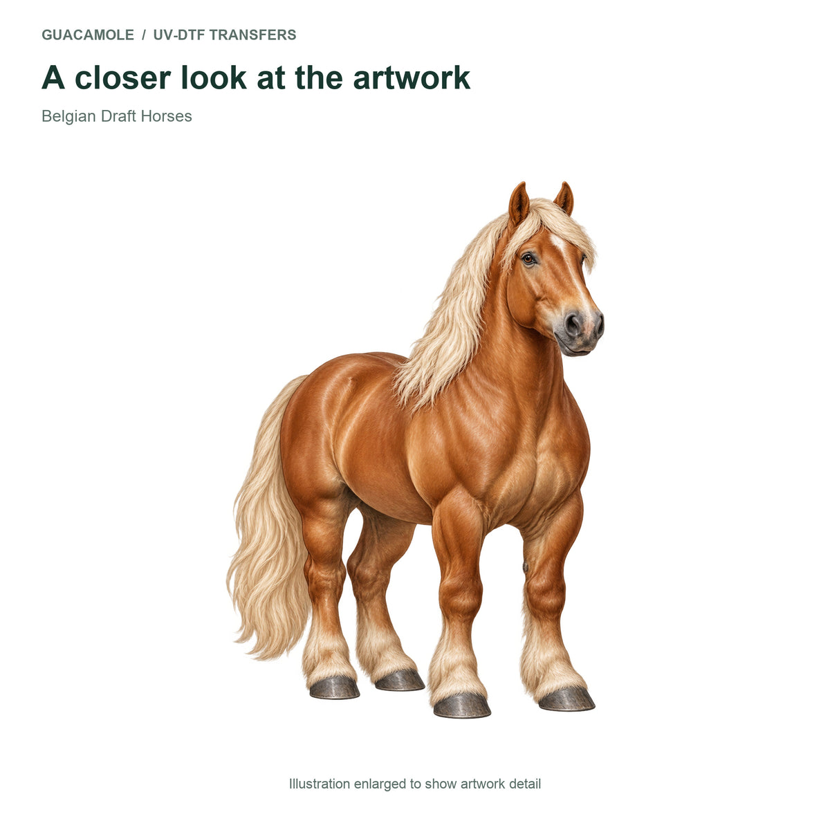 Belgian Draft Horses — Artwork detail