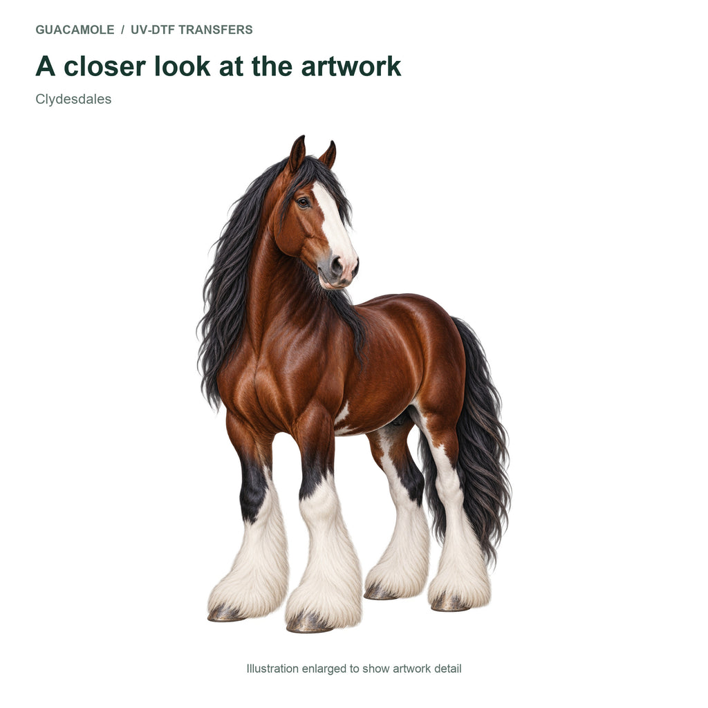 Clydesdales — Artwork detail