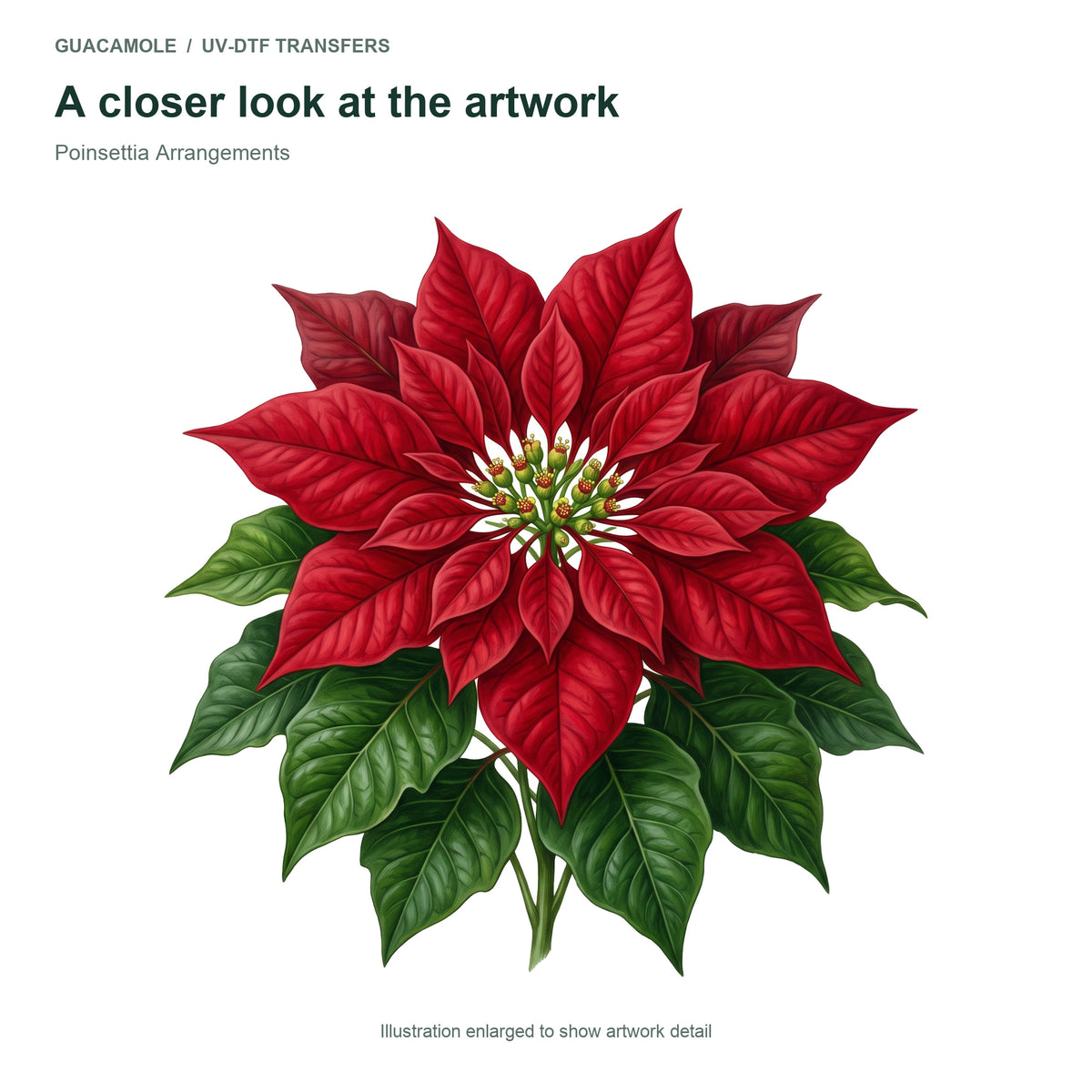 Poinsettia Arrangements — Artwork detail