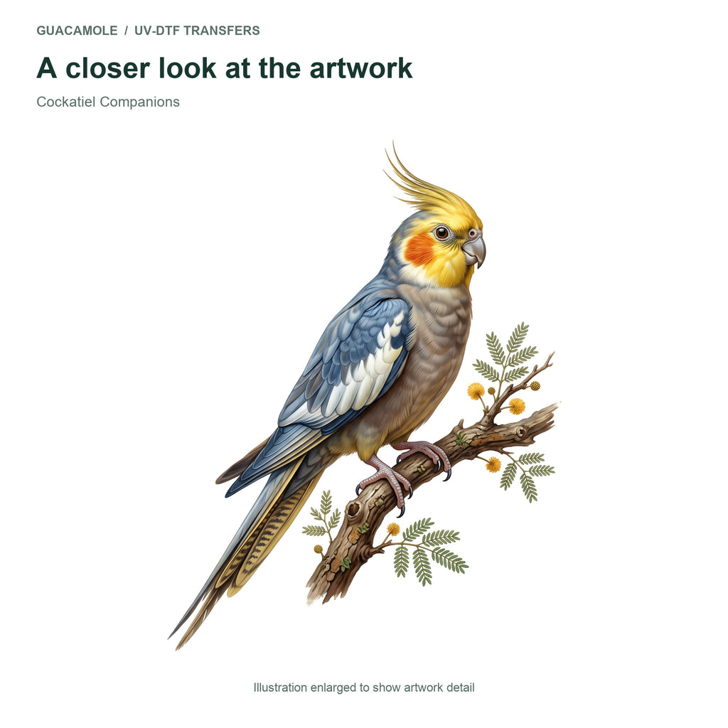 Cockatiel Companions — Artwork detail