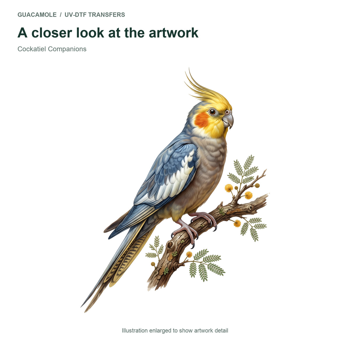 Cockatiel Companions — Artwork detail