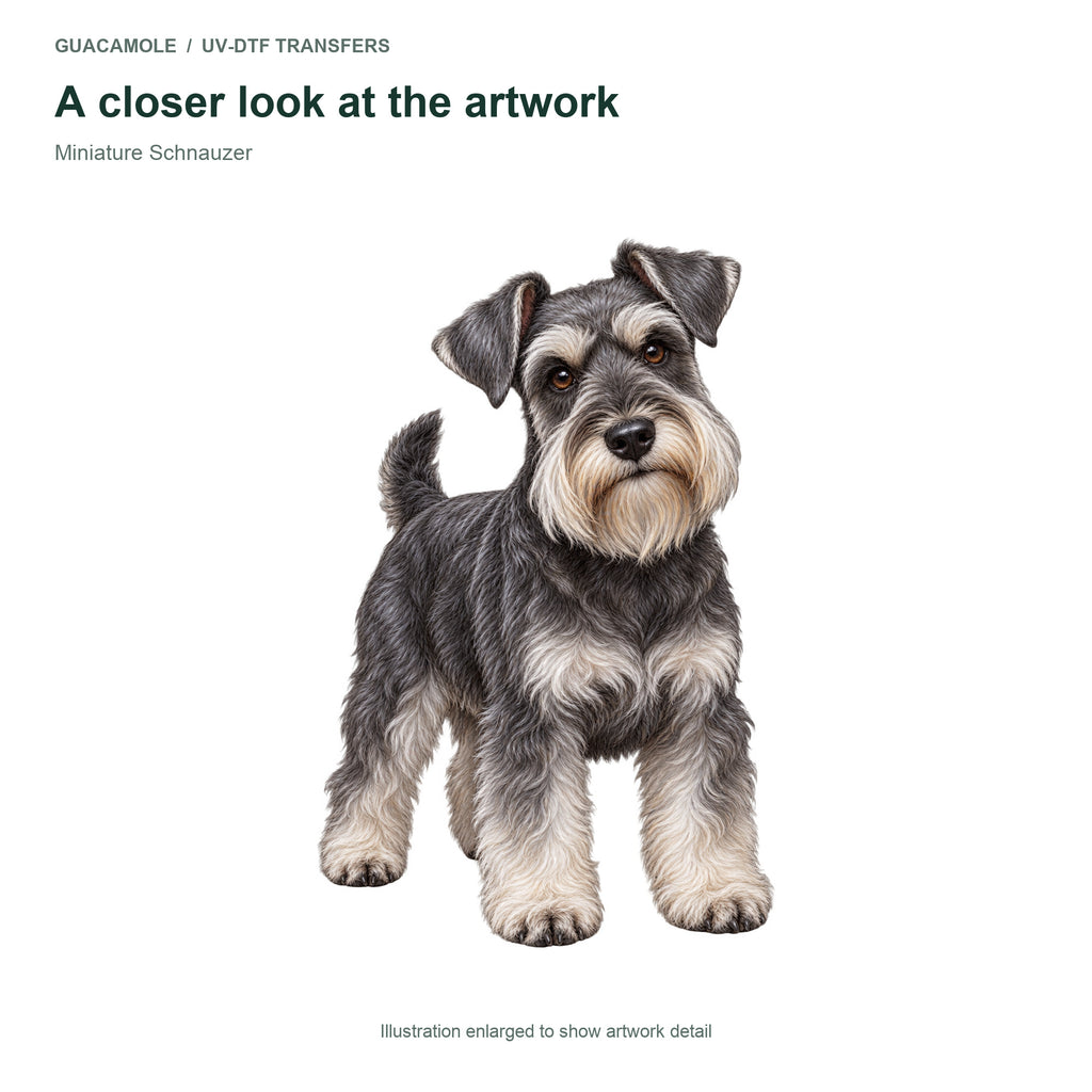 Miniature Schnauzer — Artwork detail