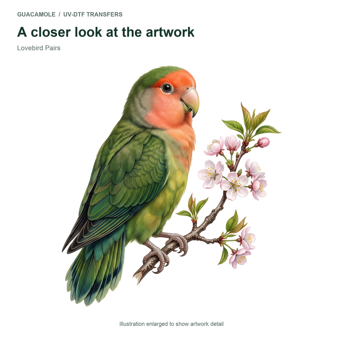 Lovebird Pairs — Artwork detail