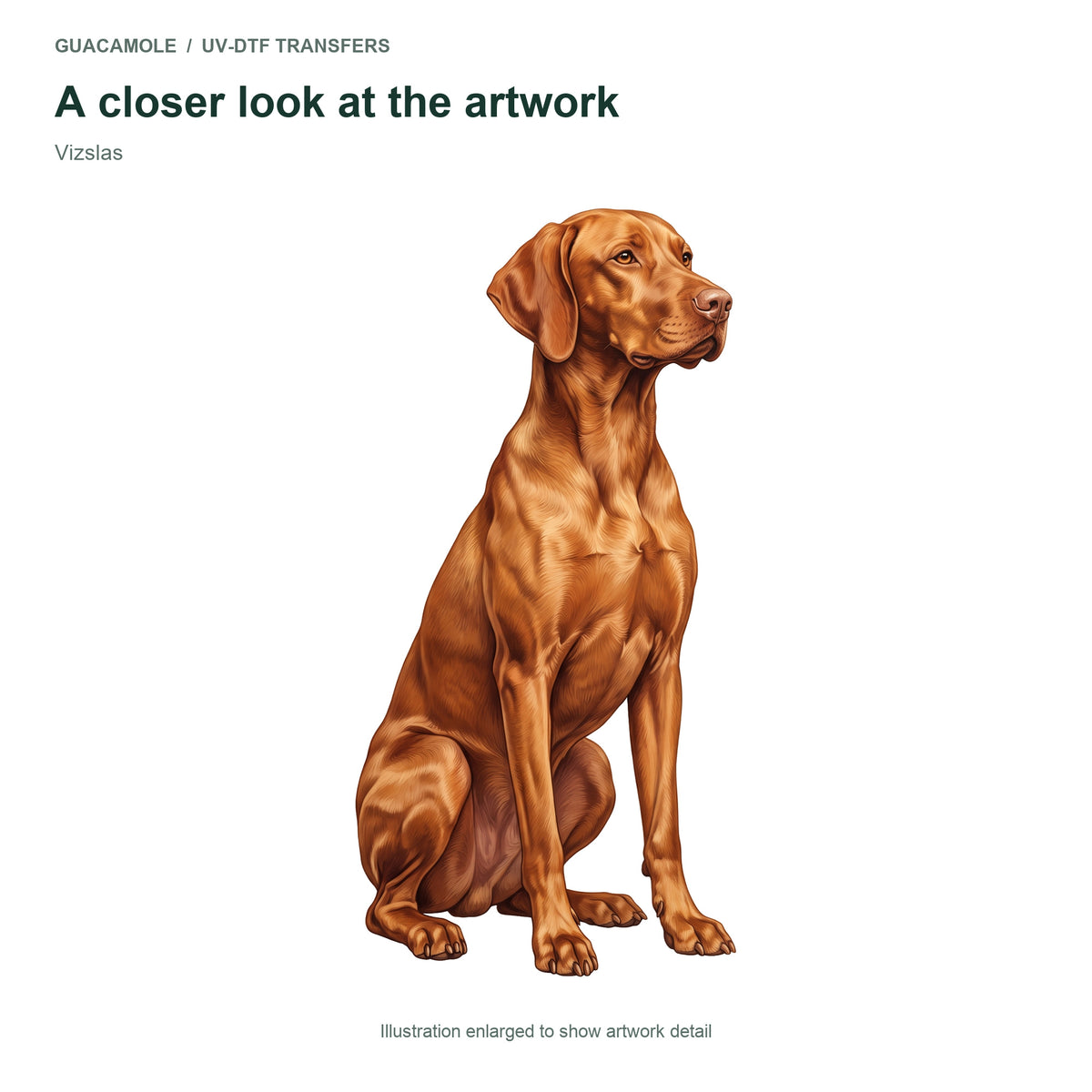 Vizslas — Artwork detail