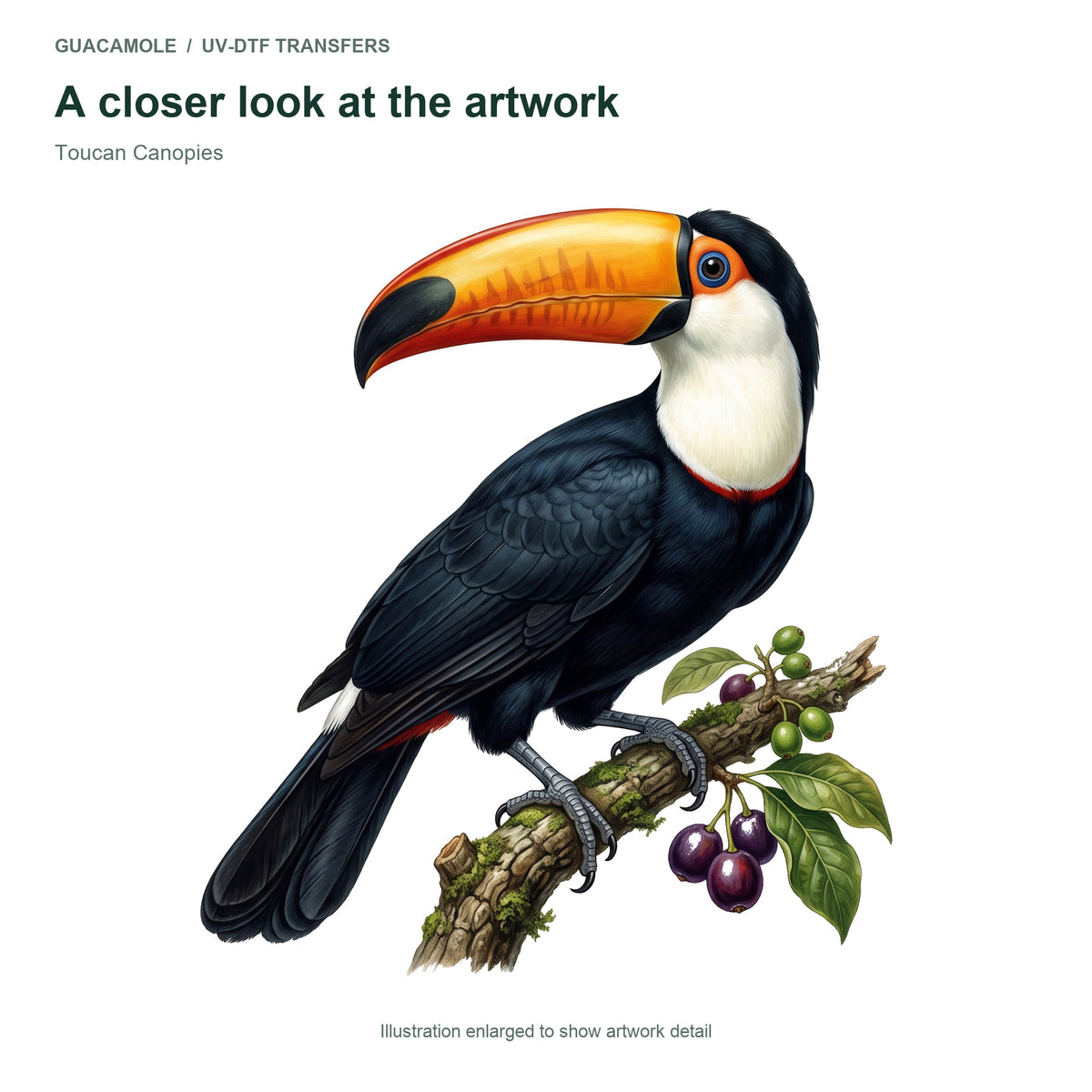 Toucan Canopies — Artwork detail