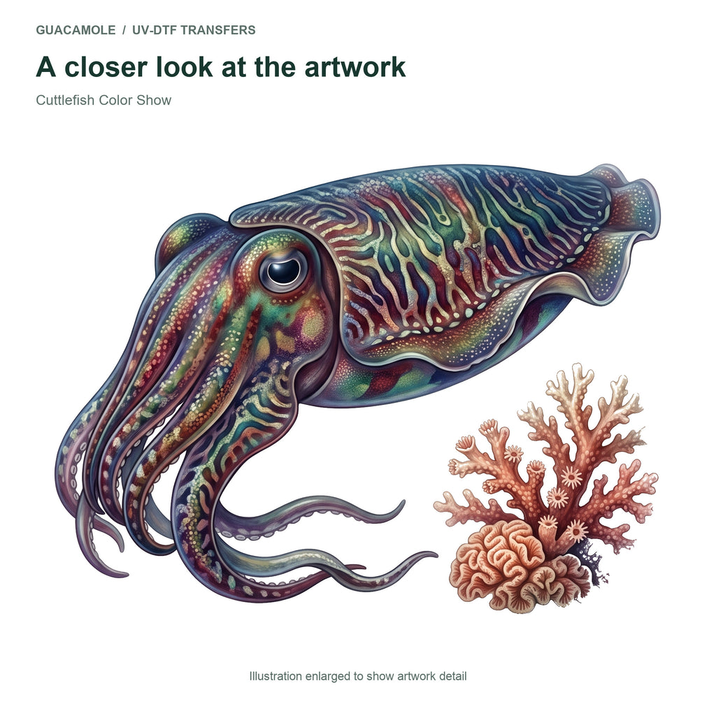 Cuttlefish Color Show — Artwork detail