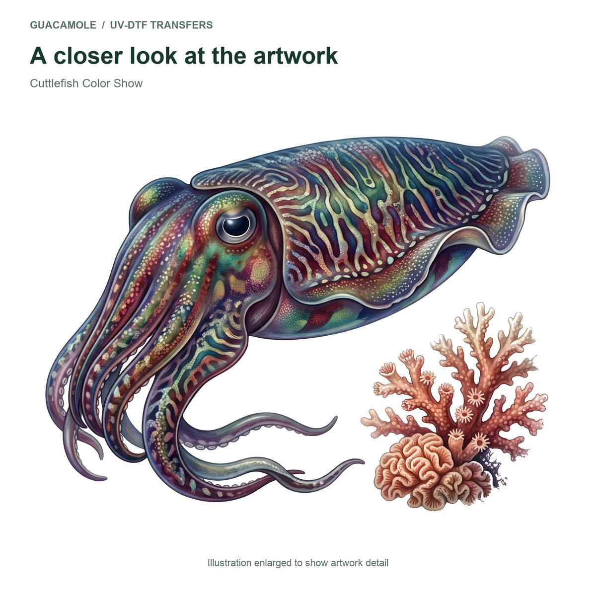 Cuttlefish Color Show — Artwork detail