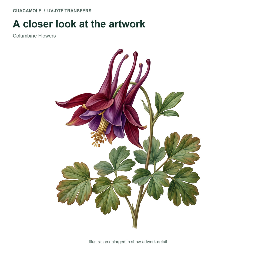 Columbine Flowers — Artwork detail