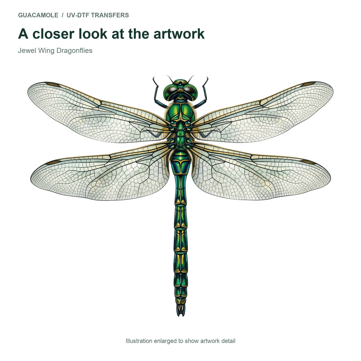 Jewel Wing Dragonflies — Artwork detail
