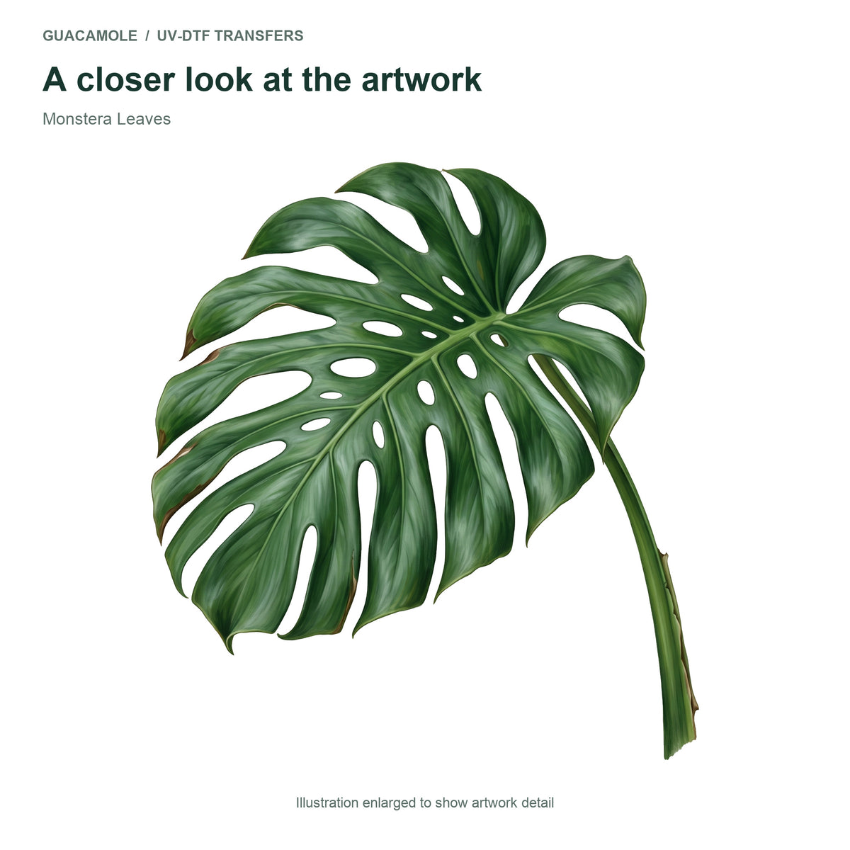 Monstera Leaves — Artwork detail