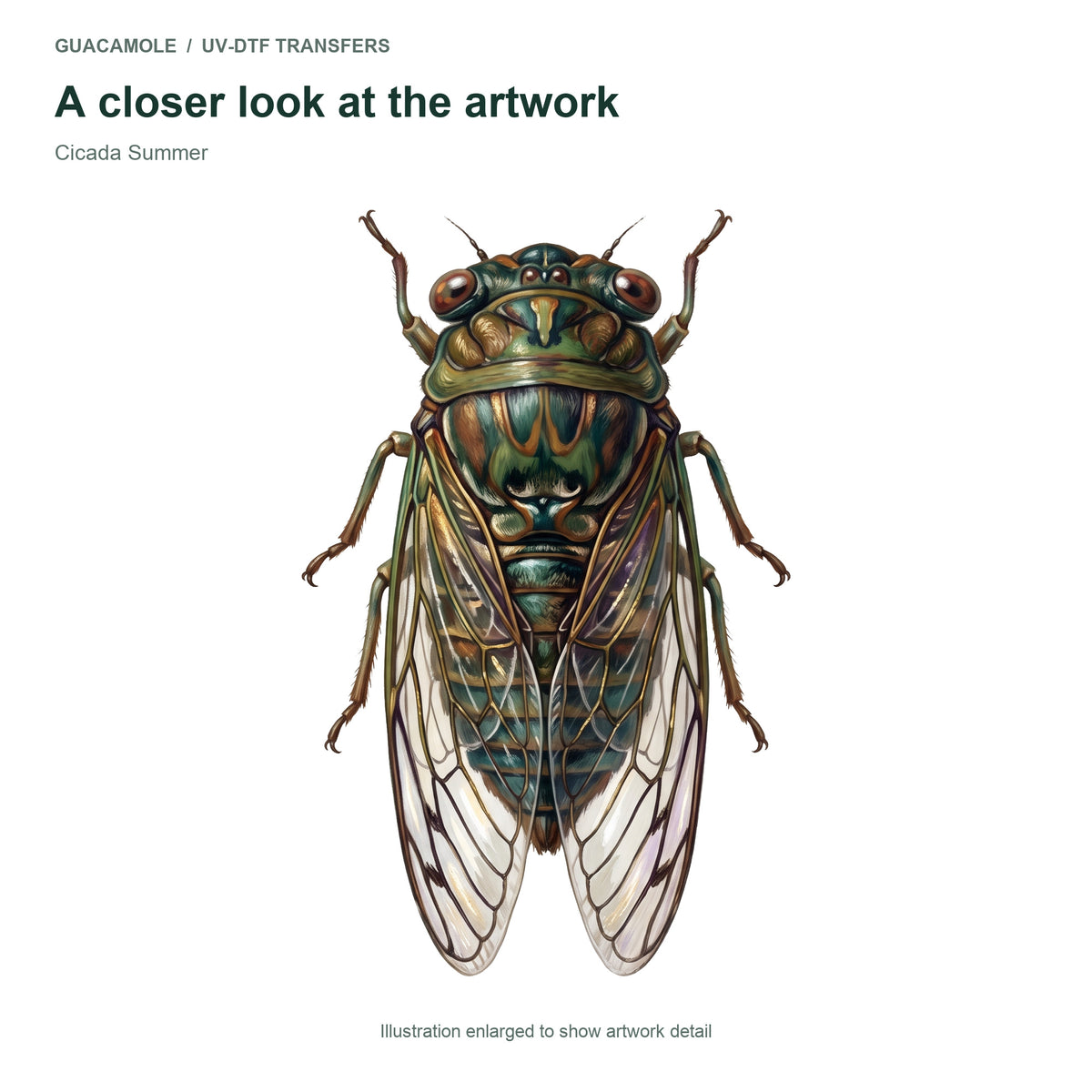 Cicada Summer — Artwork detail