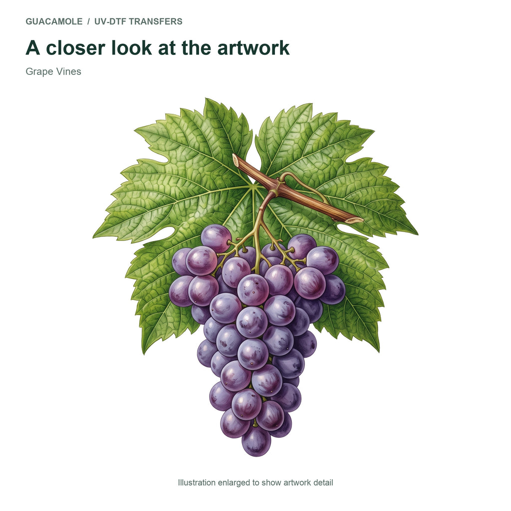 Grape Vines — Artwork detail