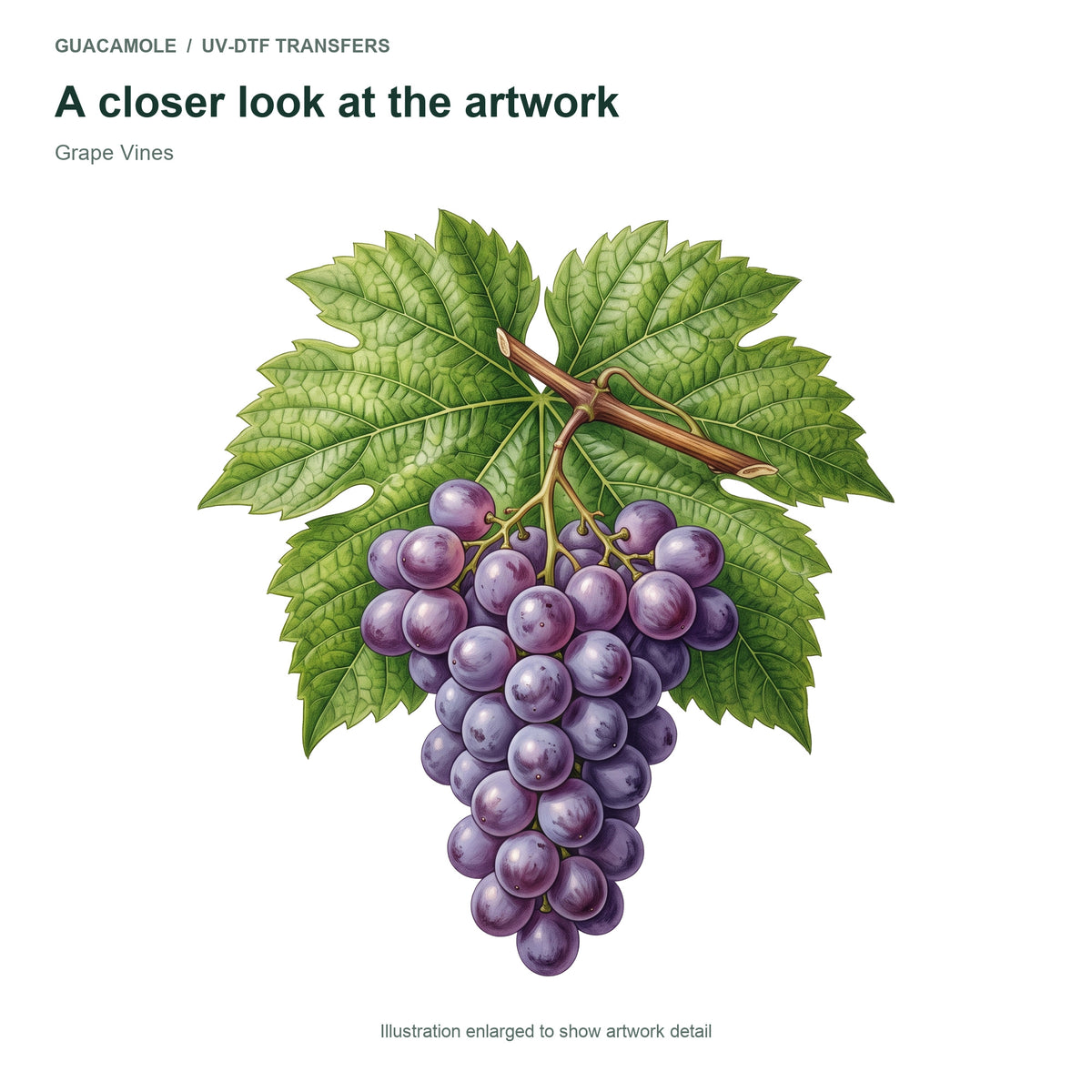 Grape Vines — Artwork detail