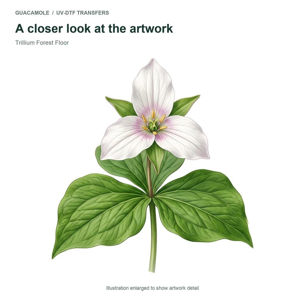 Trillium Forest Floor — Artwork detail