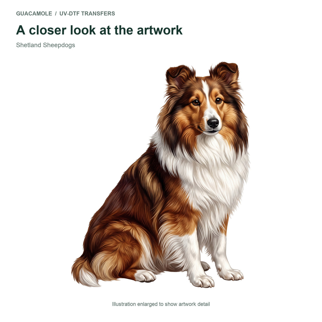 Shetland Sheepdogs — Artwork detail