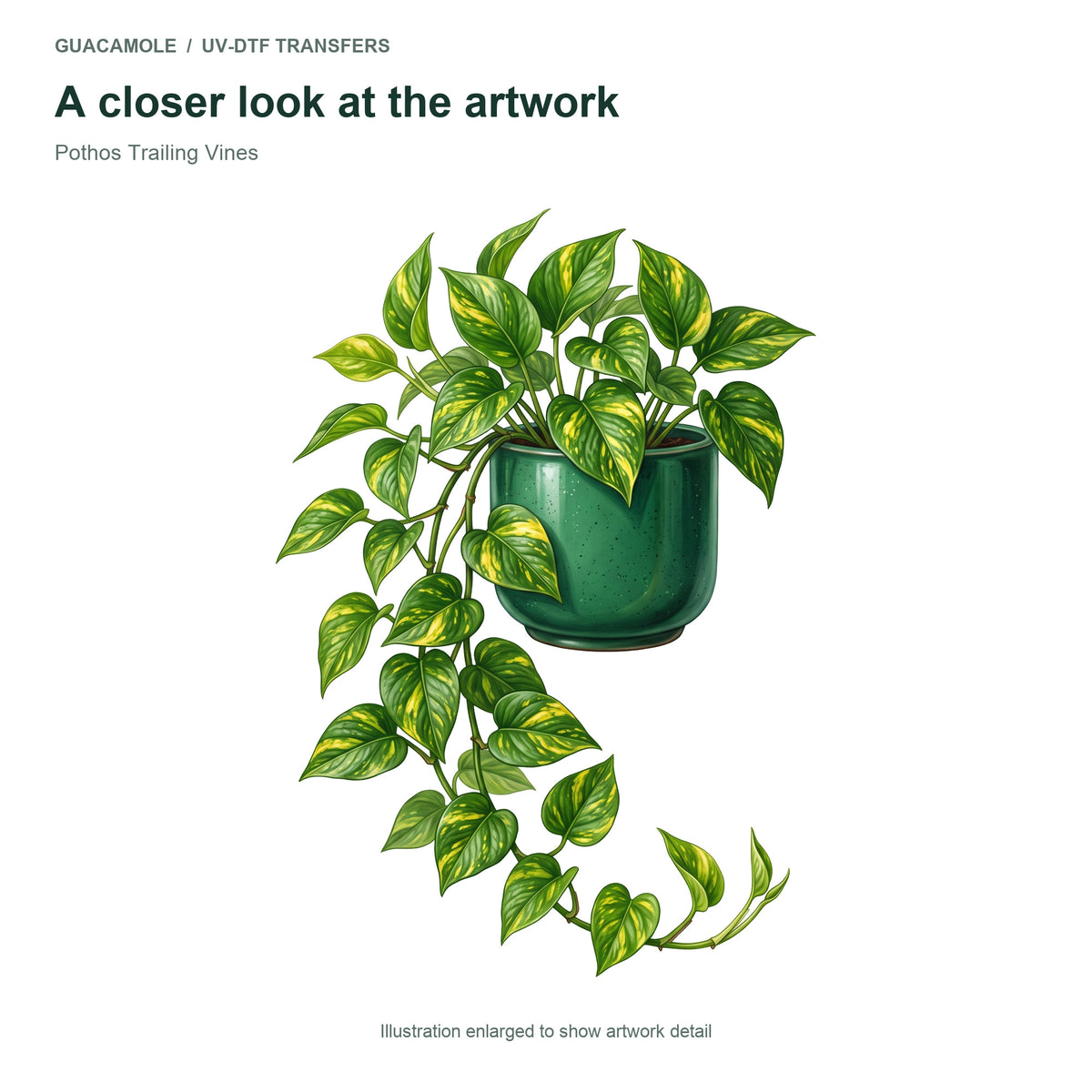 Pothos Trailing Vines — Artwork detail