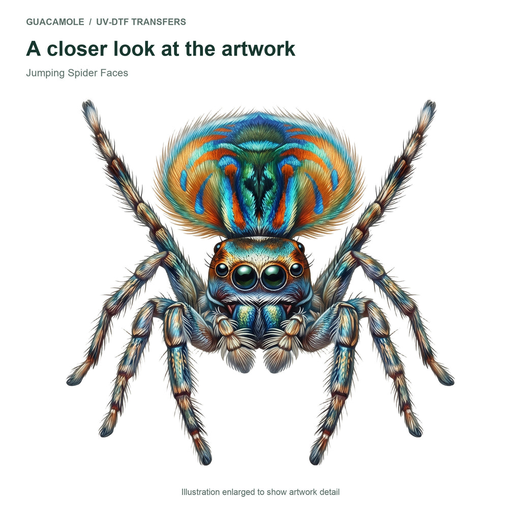 Jumping Spider Faces — Artwork detail