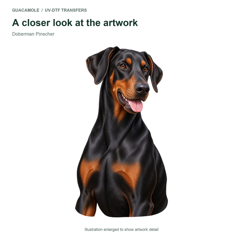 Doberman Pinscher — Artwork detail