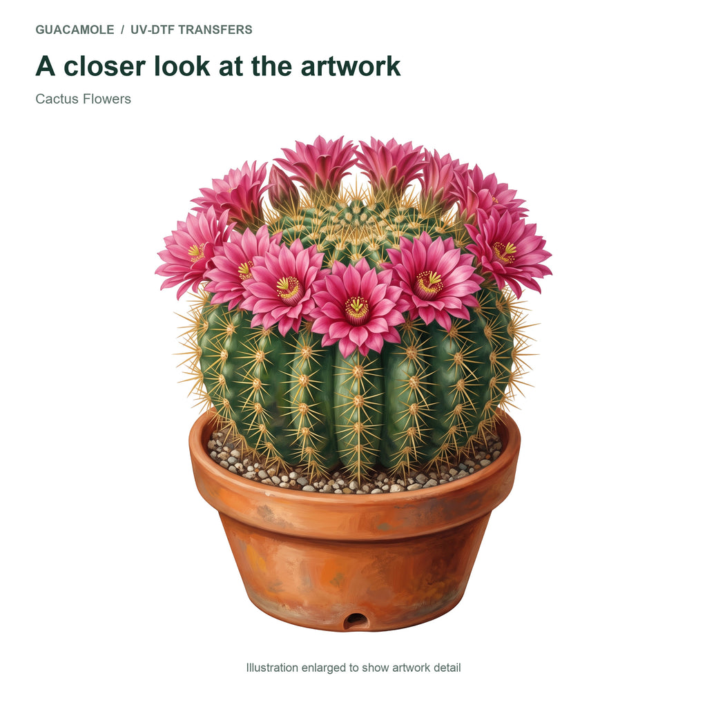 Cactus Flowers — Artwork detail