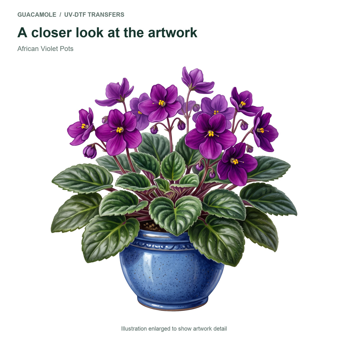 African Violet Pots — Artwork detail
