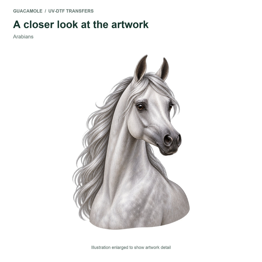 Arabians — Artwork detail