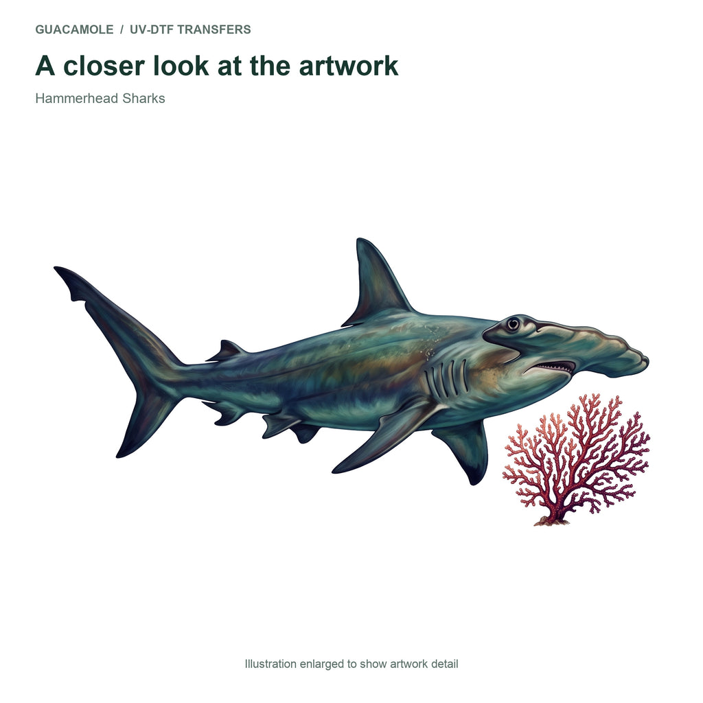 Hammerhead Sharks — Artwork detail