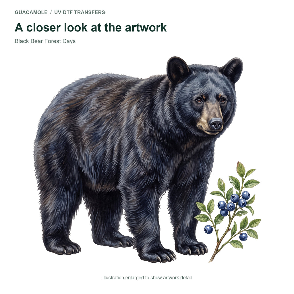 Black Bear Forest Days — Artwork detail