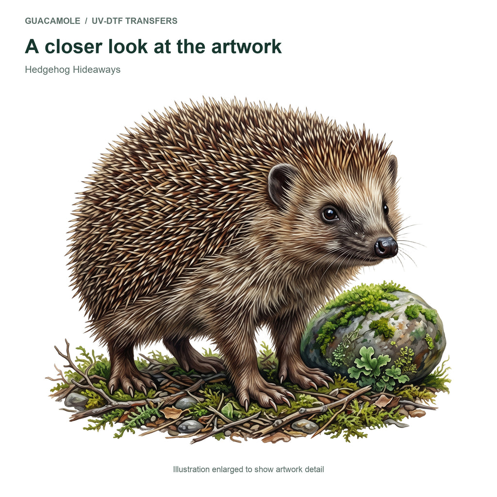 Hedgehog Hideaways — Artwork detail