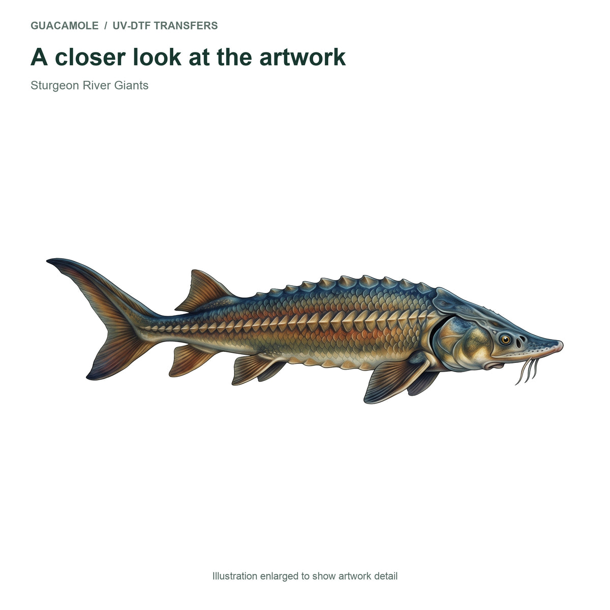 Sturgeon River Giants — Artwork detail