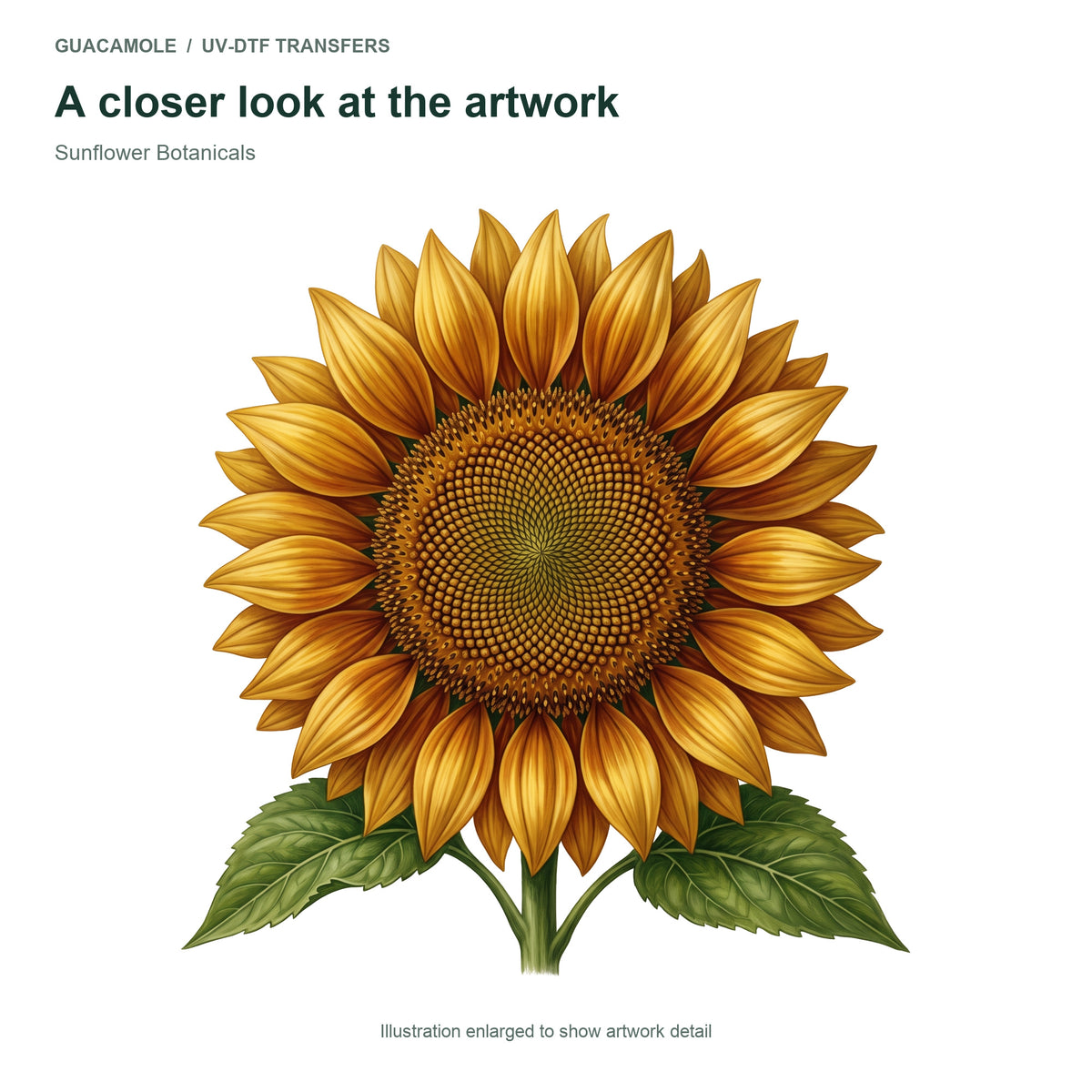 Sunflower Botanicals — Artwork detail