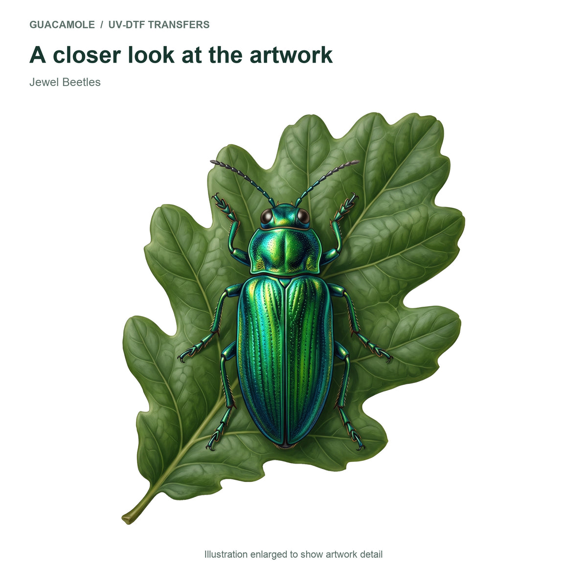 Jewel Beetles — Artwork detail