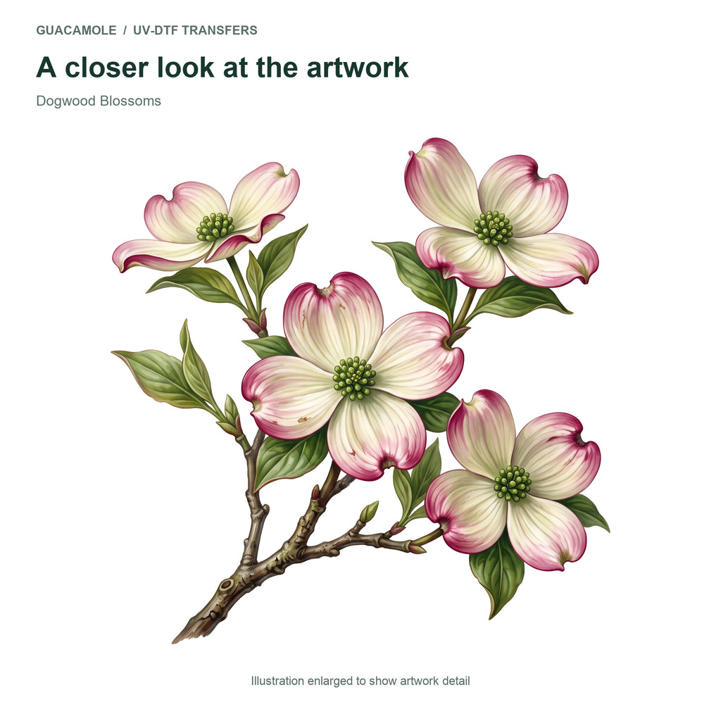 Dogwood Blossoms — Artwork detail
