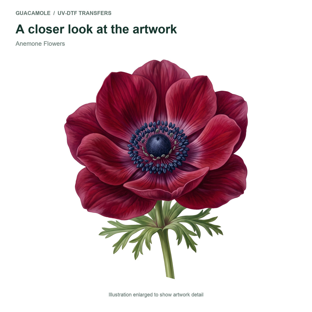 Anemone Flowers — Artwork detail