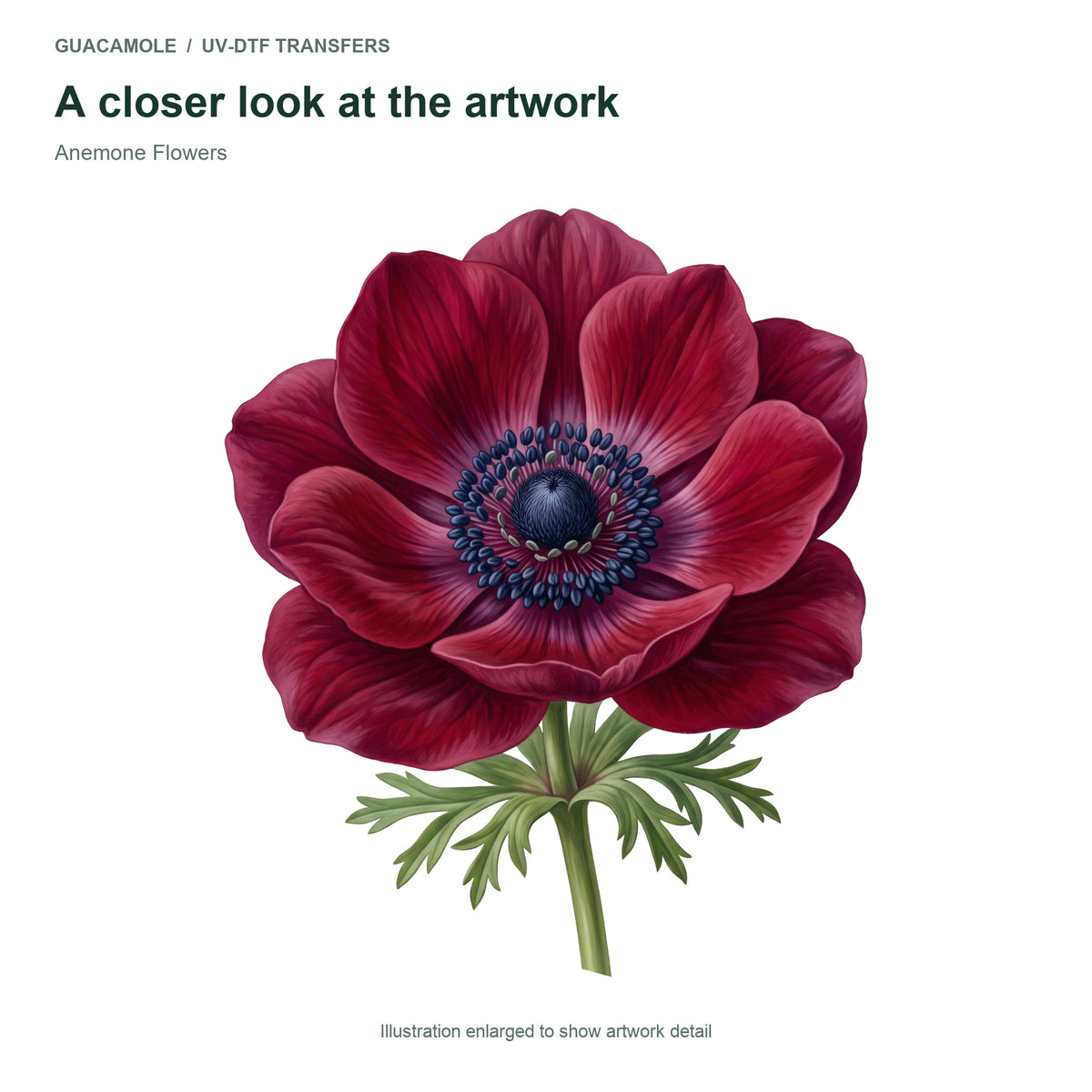 Anemone Flowers — Artwork detail