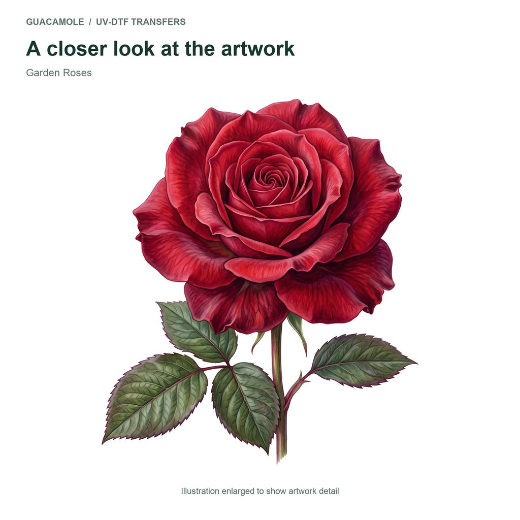 Garden Roses — Artwork detail