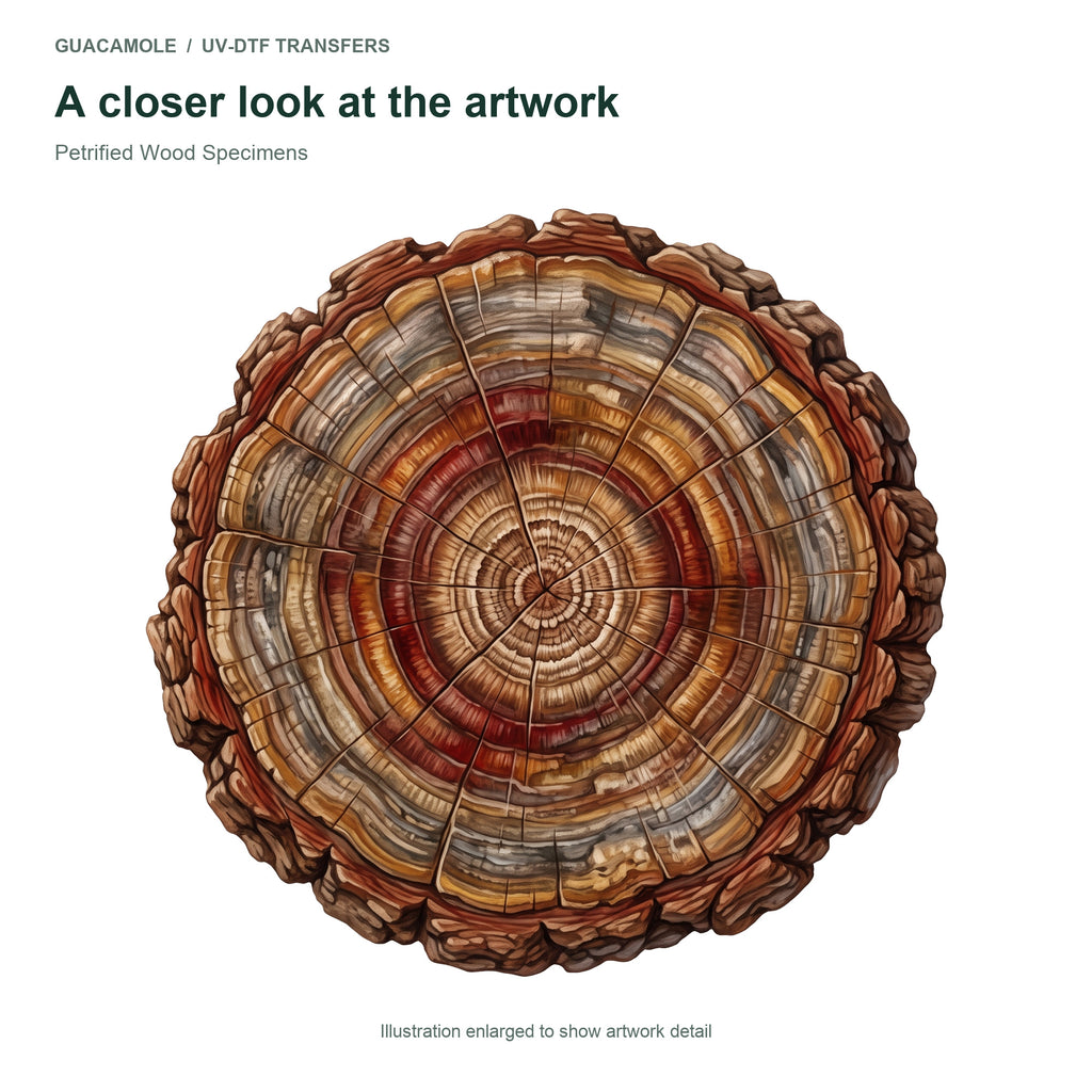 Petrified Wood Specimens — Artwork detail