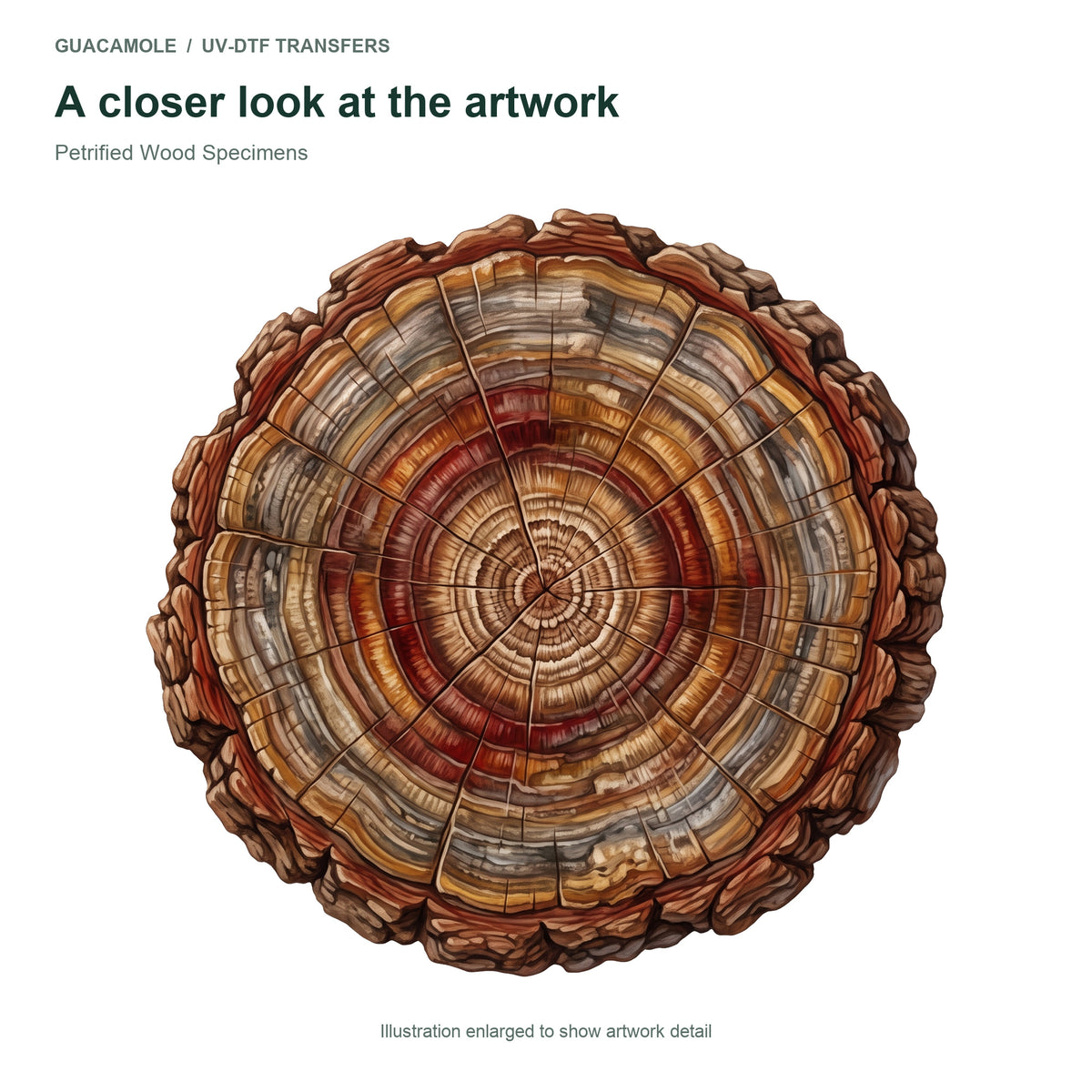 Petrified Wood Specimens — Artwork detail
