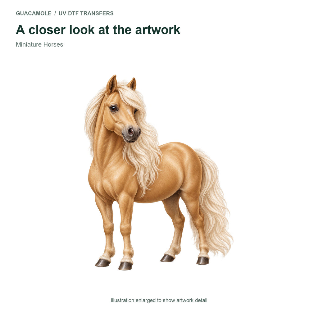 Miniature Horses — Artwork detail