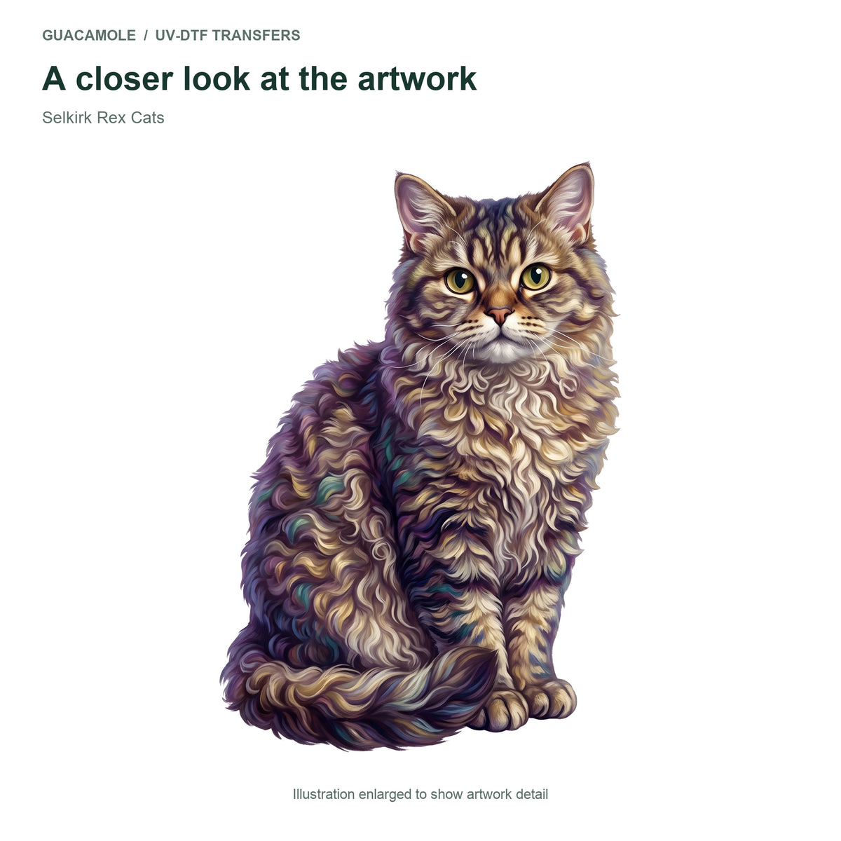Selkirk Rex Cats — Artwork detail