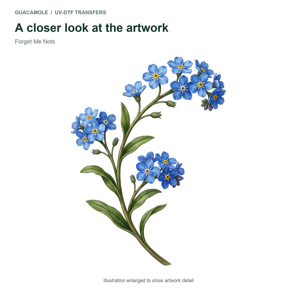 Forget Me Nots — Artwork detail