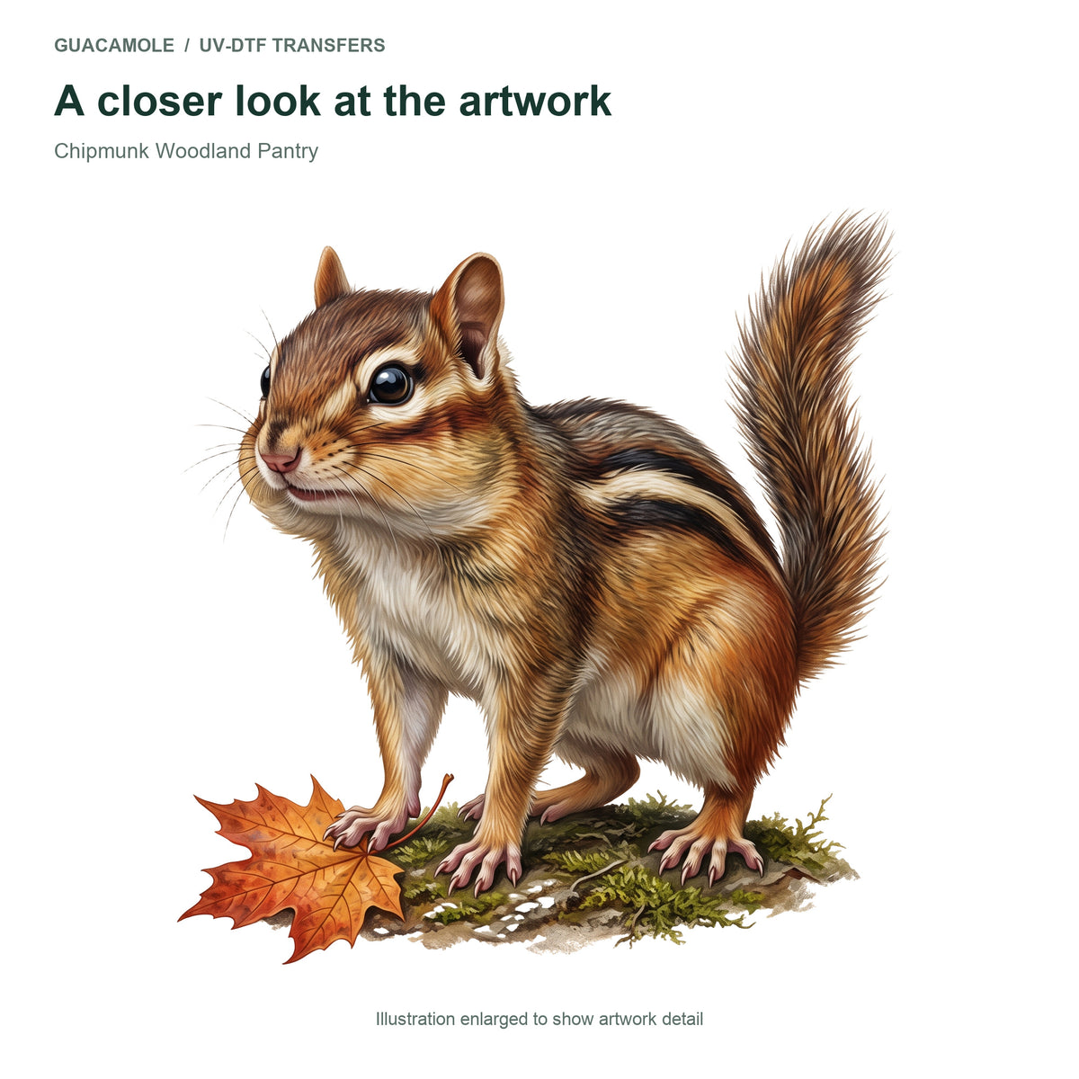 Chipmunk Woodland Pantry — Artwork detail