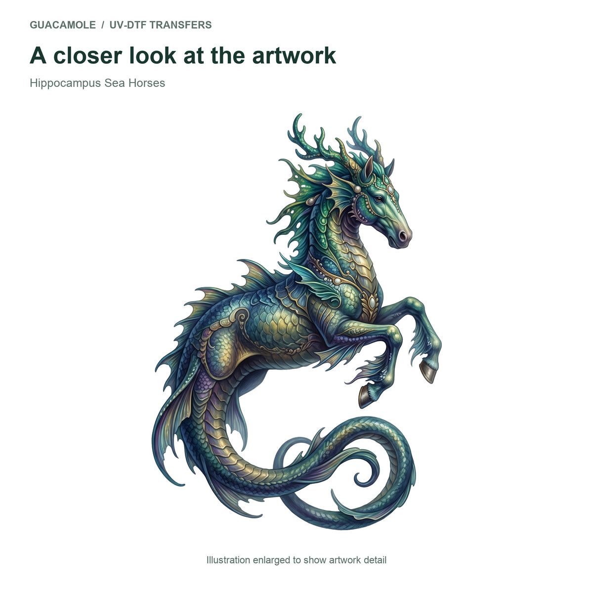 Hippocampus Sea Horses — Artwork detail