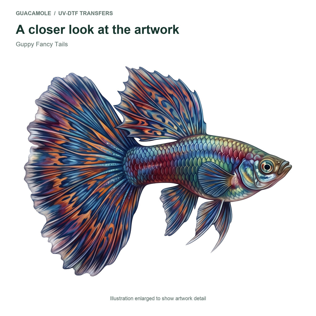 Guppy Fancy Tails — Artwork detail