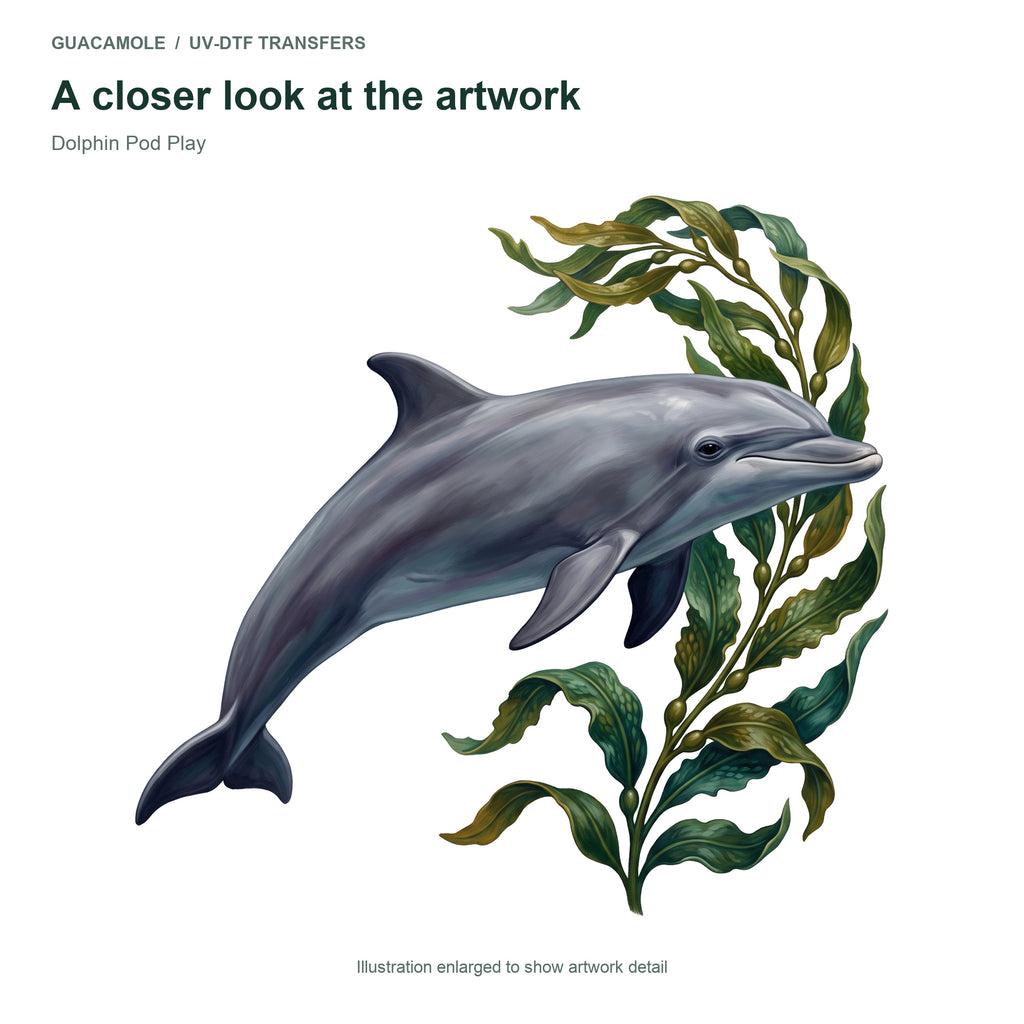 Dolphin Pod Play — Artwork detail