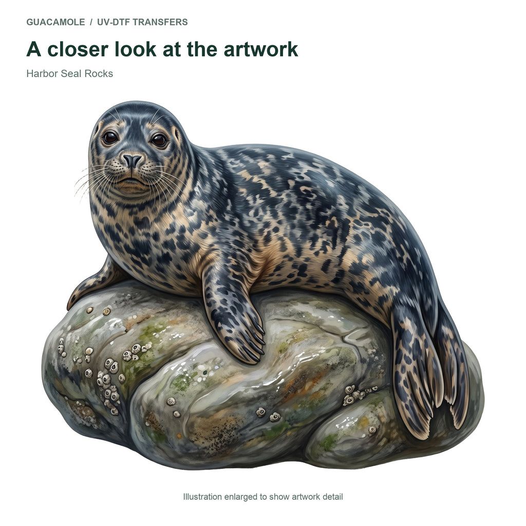 Harbor Seal Rocks — Artwork detail