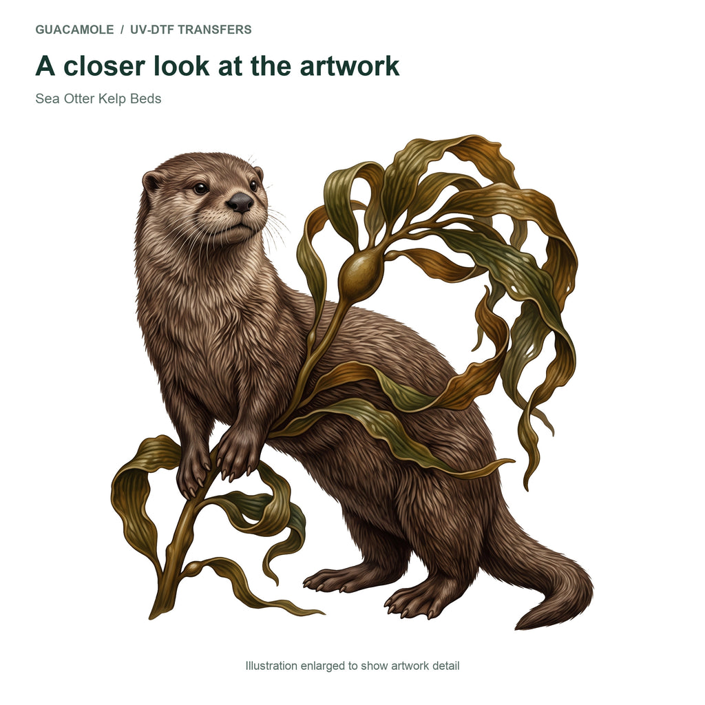 Sea Otter Kelp Beds — Artwork detail