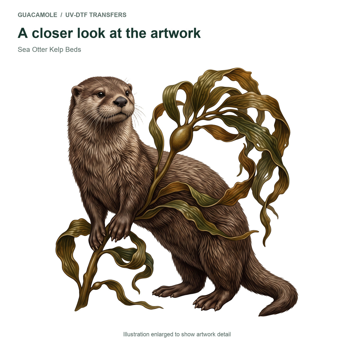 Sea Otter Kelp Beds — Artwork detail